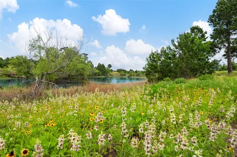 493 Cottletown Road Smithville TX 78957
