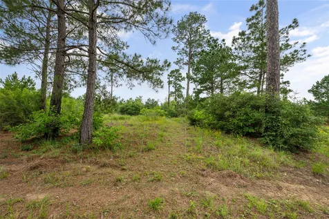 493 Cottletown Road Smithville TX 78957