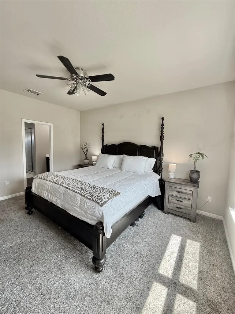 380 Blue Sage Drive Leander TX 78641
