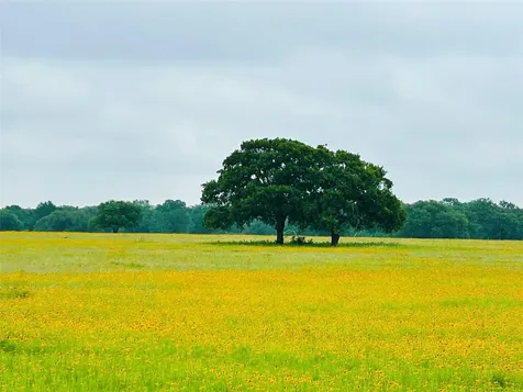 Lot 5 Tbd County Road 127 Road Ledbetter TX 78946
