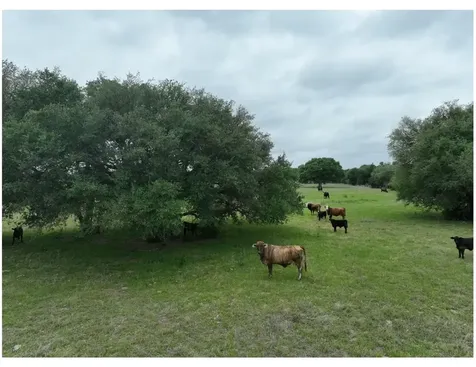Lot 5 Tbd County Road 127 Road Ledbetter TX 78946