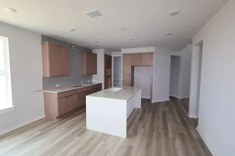 13113 Cerulean Spring Drive Buda TX 78610