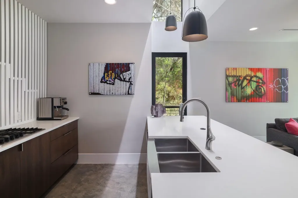1325 Bonham Terrace Austin TX 78704