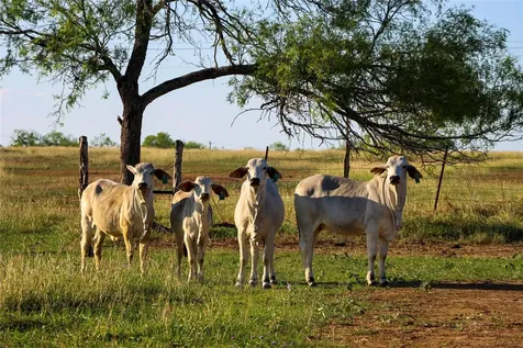 Tract 3 28.92 Ac E State Highway 87 Nixon TX 78140