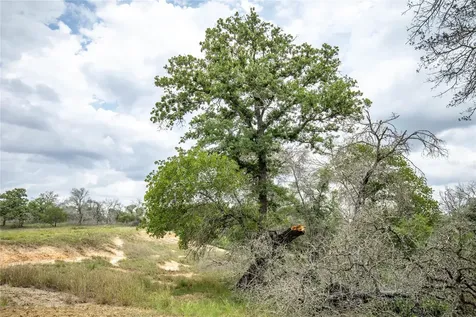 132 Roemer Lane W Floresville TX 78114