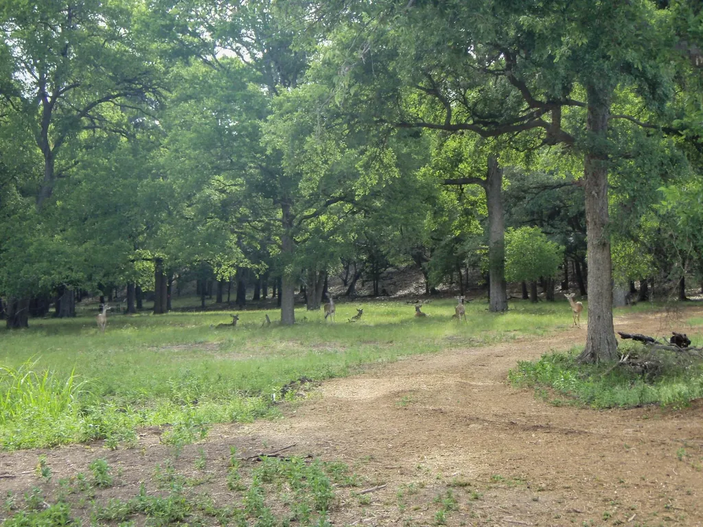 1593 Bella Vista Canyon Lake TX 78133