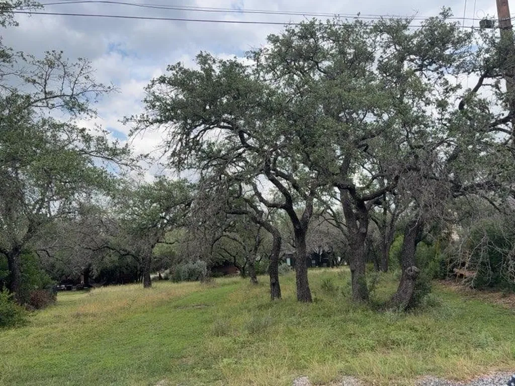 00 Bedford Drive Spicewood TX 78669