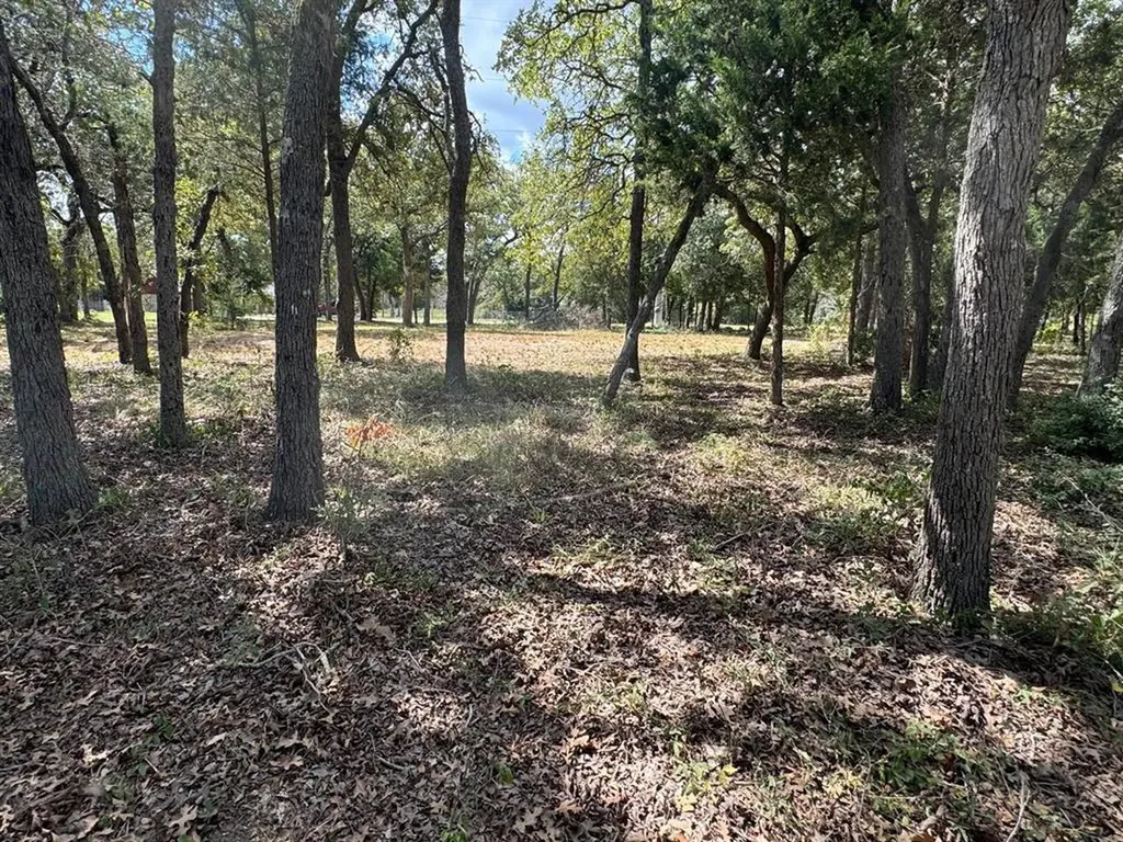 Lot 1 000 Jordan Lane Elgin TX 78621
