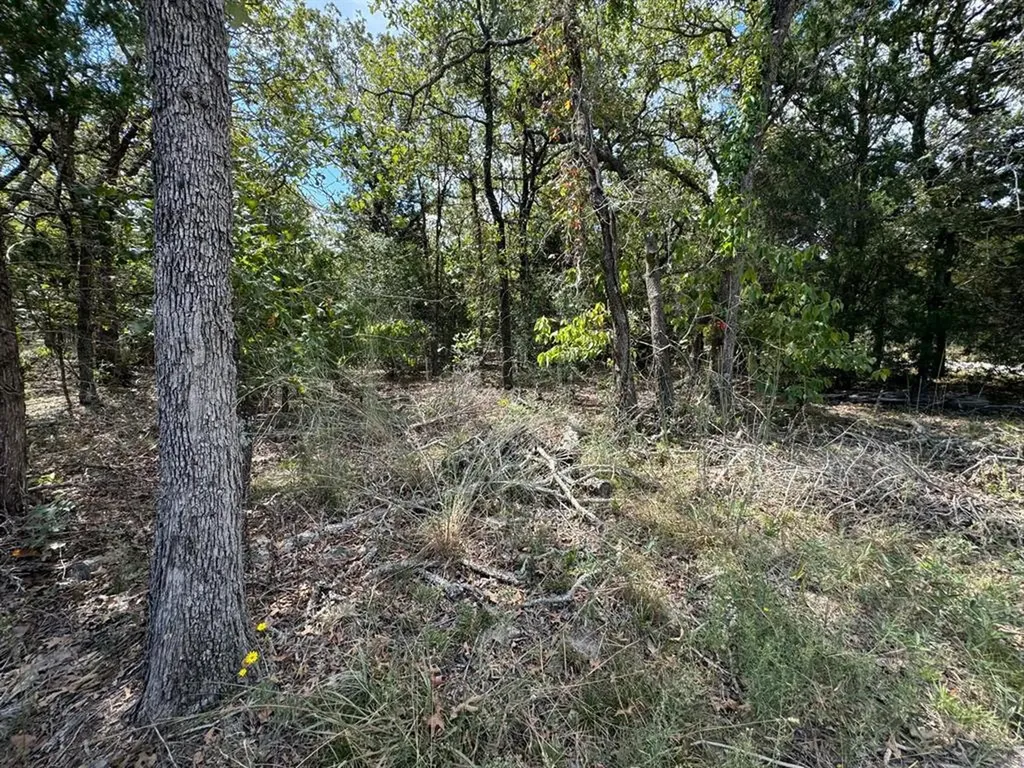 Lot 1 000 Jordan Lane Elgin TX 78621