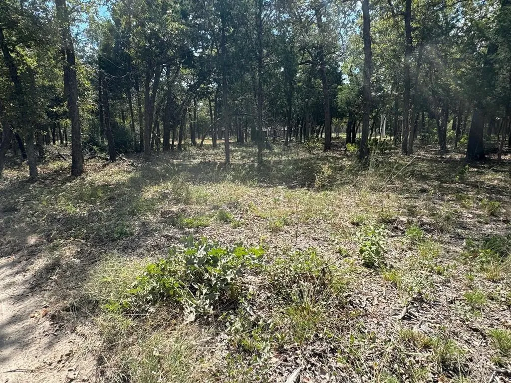Lot 1 000 Jordan Lane Elgin TX 78621