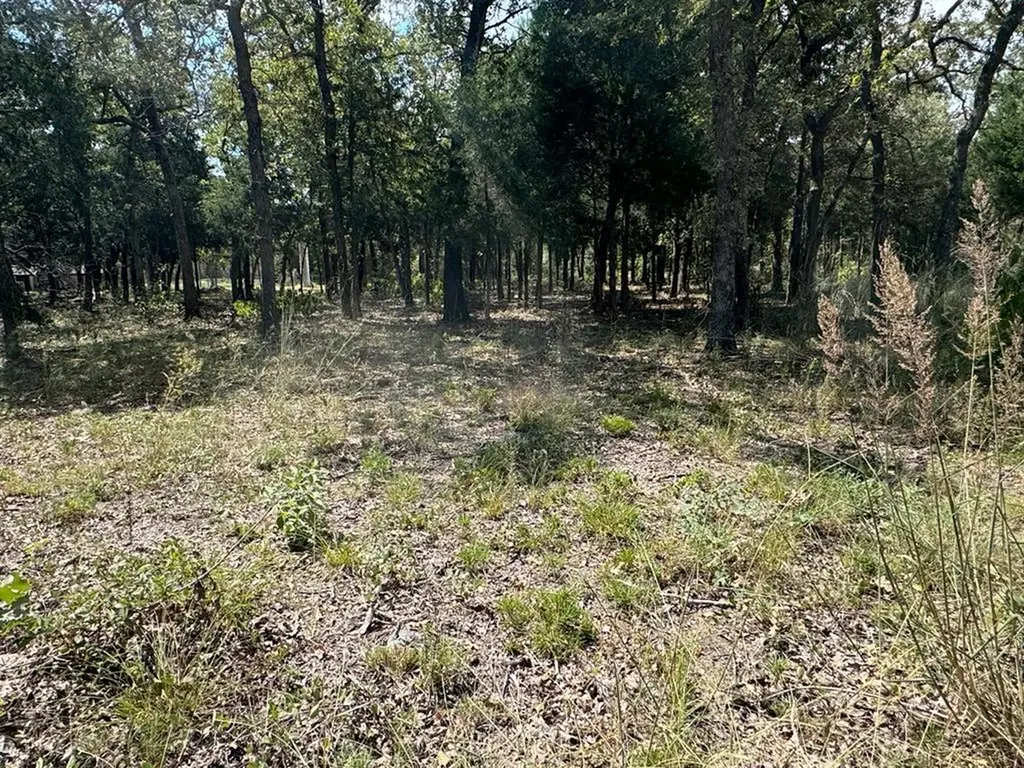 Lot 1 000 Jordan Lane Elgin TX 78621