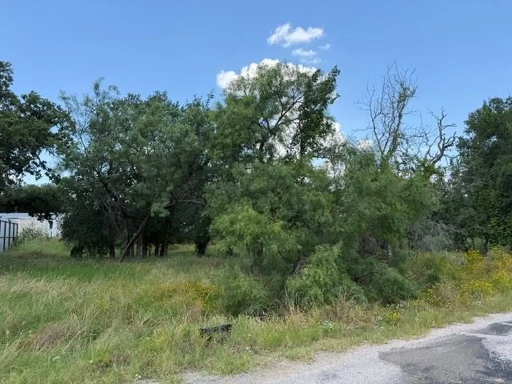 3523 Cactus Trail Kingsland TX 78639