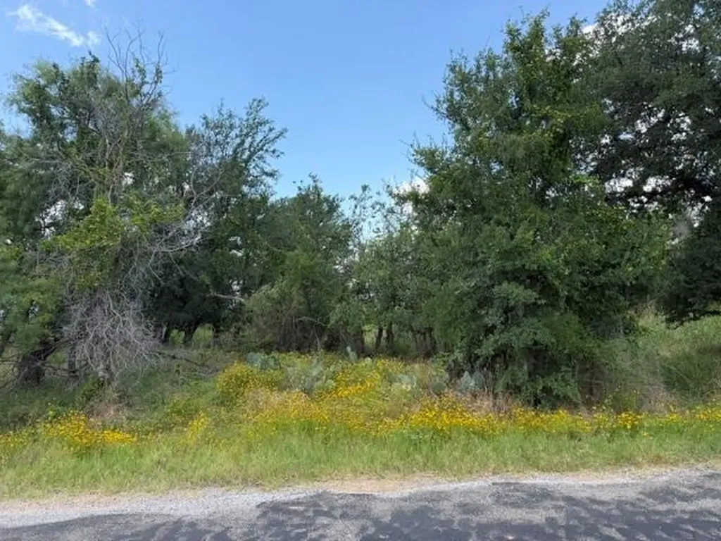 3523 Cactus Trail Kingsland TX 78639