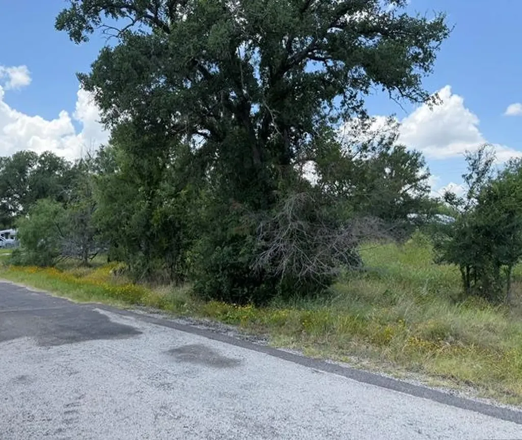 3523 Cactus Trail Kingsland TX 78639