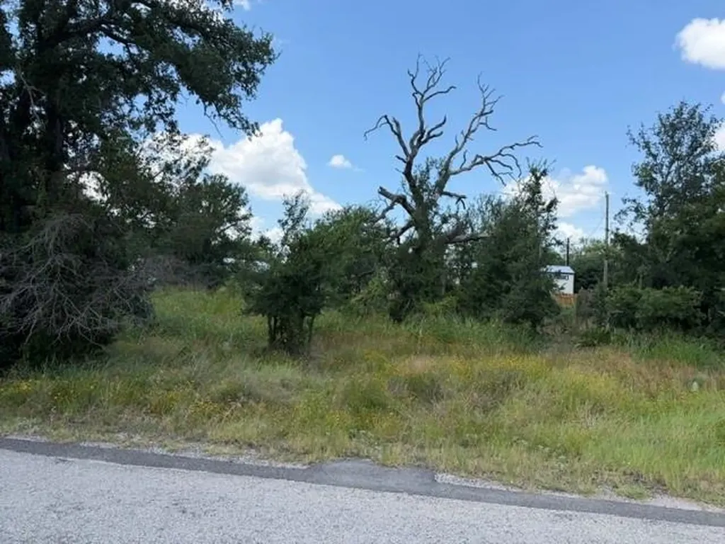 3523 Cactus Trail Kingsland TX 78639
