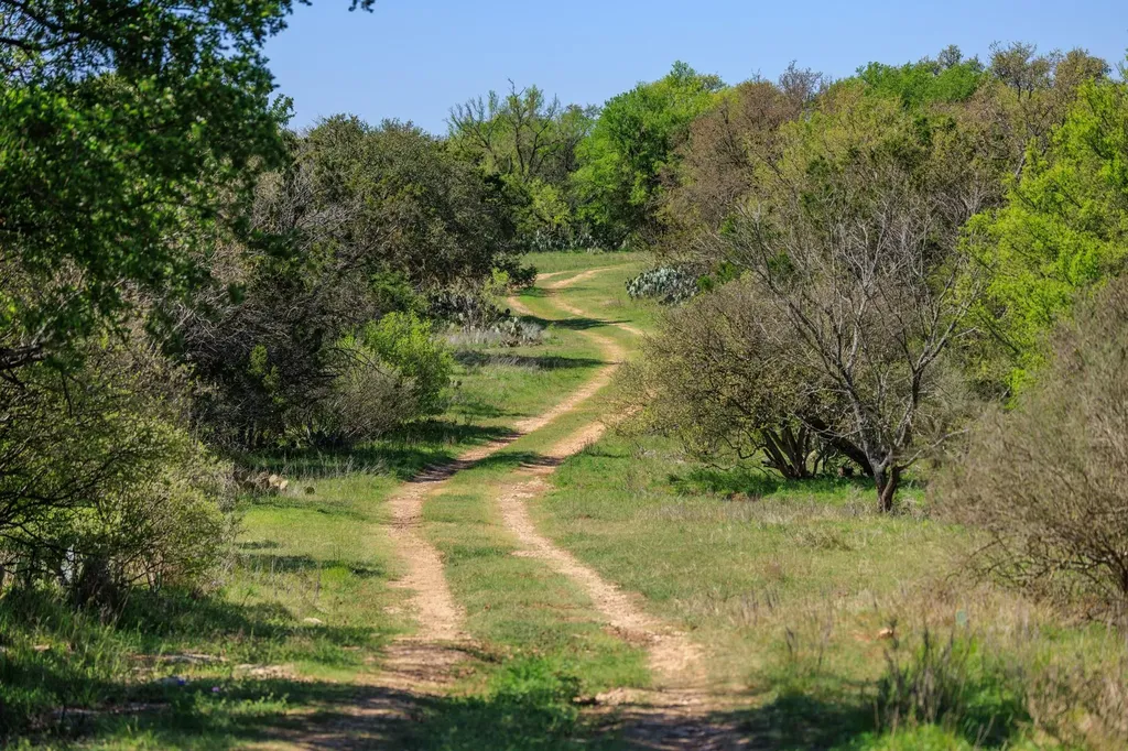 10250 E Fm 501 San Saba TX 76877