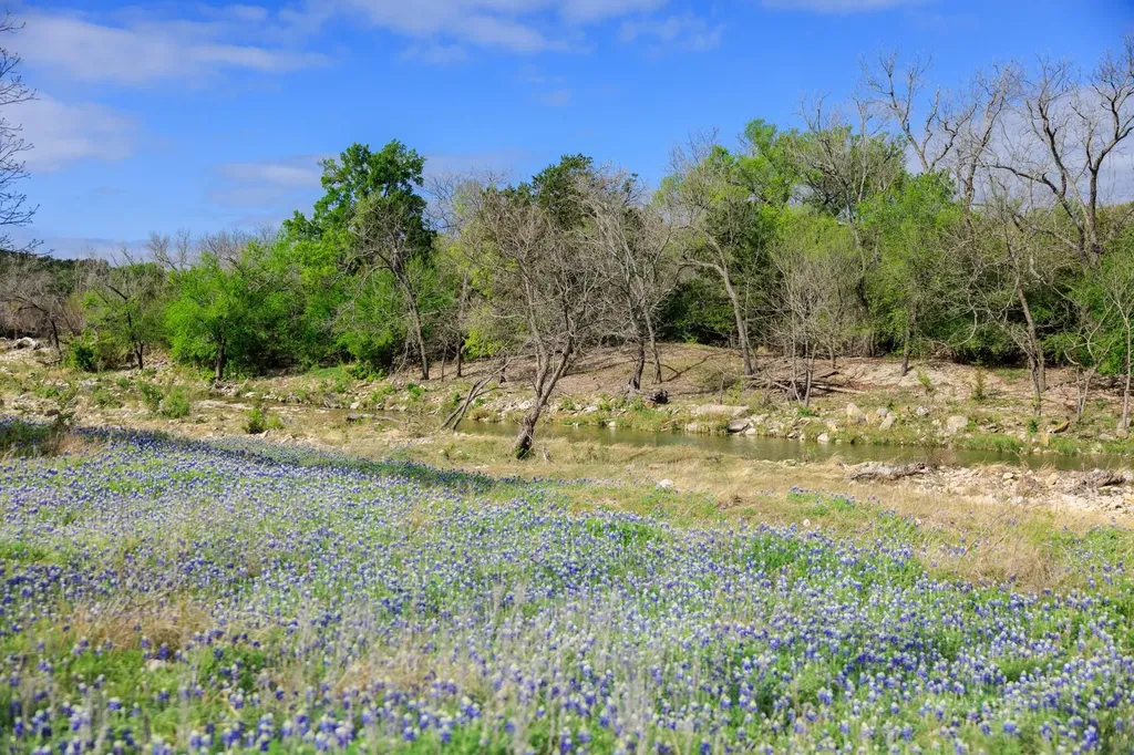 10250 E Fm 501 San Saba TX 76877