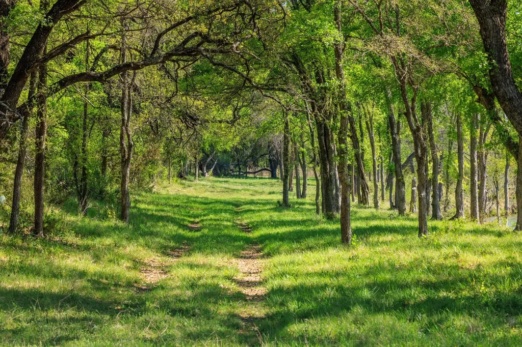 10250 E Fm 501 San Saba TX 76877
