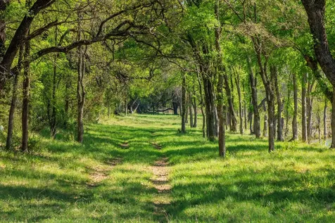 10250 E Fm 501 San Saba TX 76877