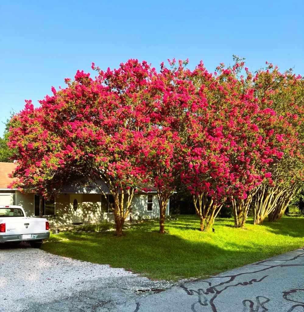 12613 Crystal Creek Drive Buda TX 78610