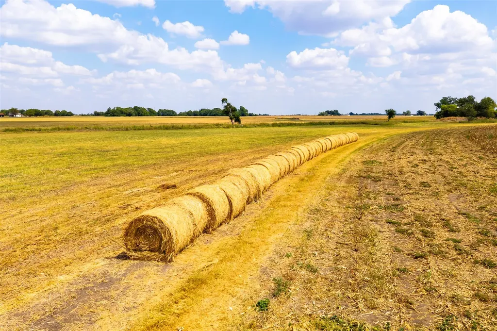 Tbd Fm 1660 Taylor TX 76574