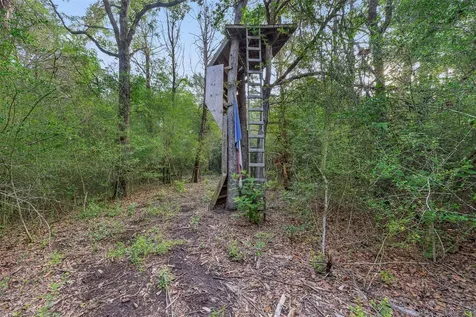 1218 County Road 436 Dime Box TX 77853