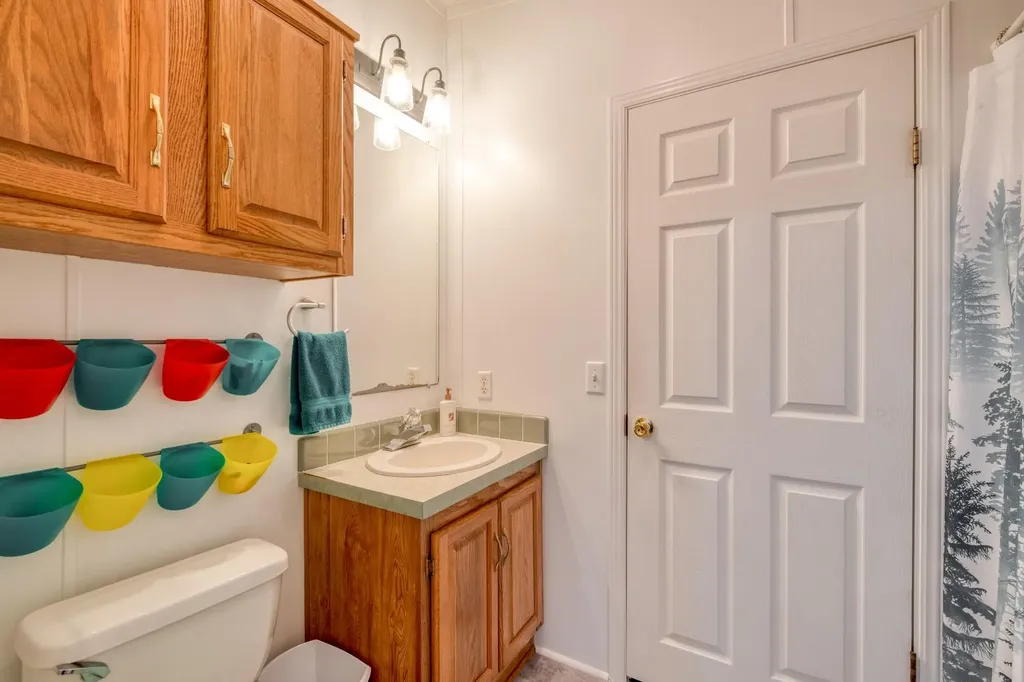 229 Green Mountain Drive Cedar Creek TX 78612