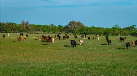 Tbd County Road 404 Floresville TX 78114