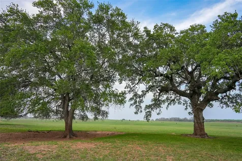 Tbd County Road 404 Floresville TX 78114