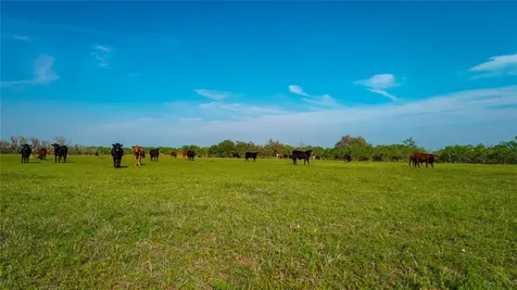 Tbd County Road 404 Floresville TX 78114