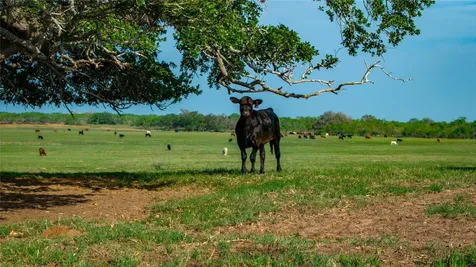Tbd County Road 404 Floresville TX 78114