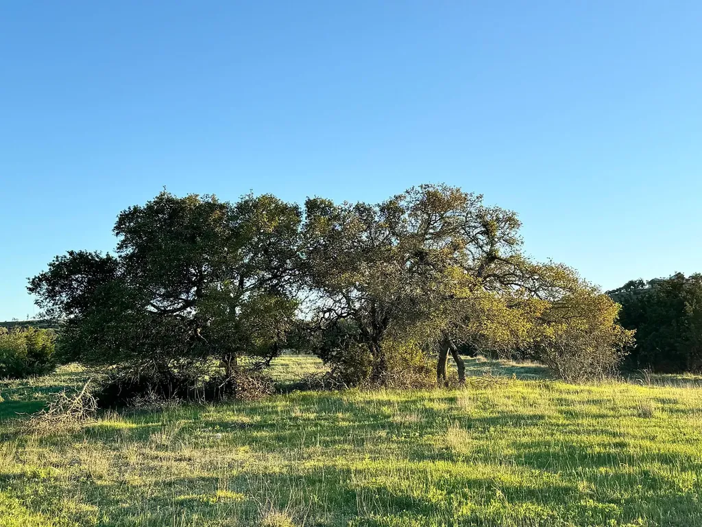 105 Majestic Hills Blanco TX 78606