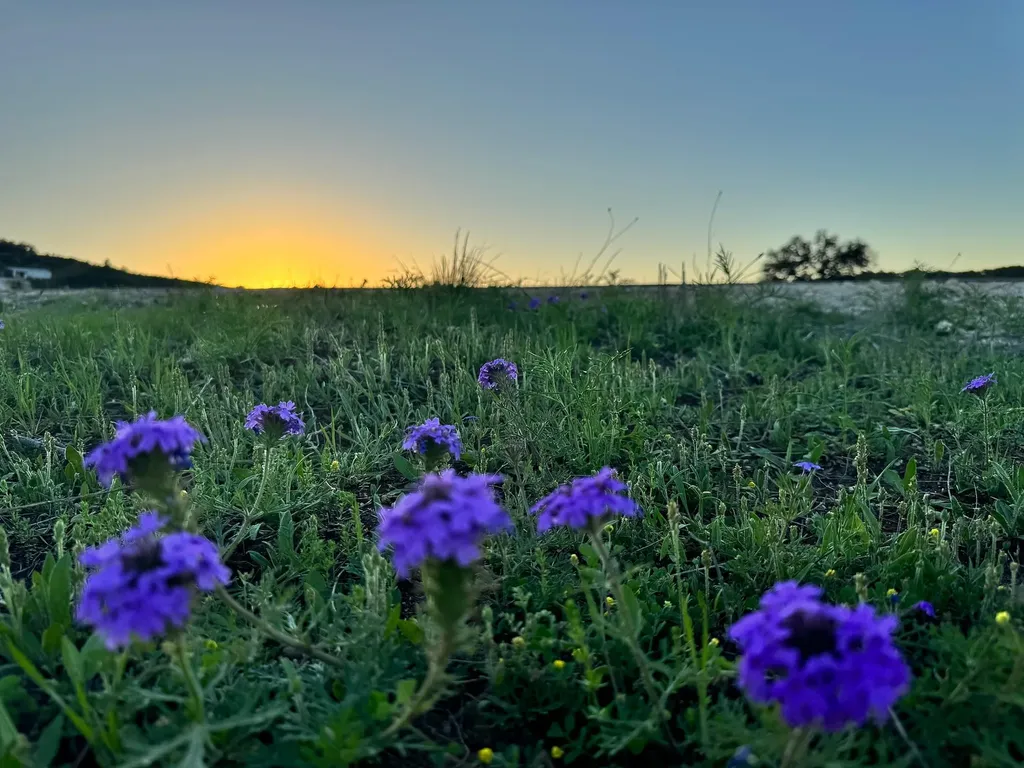 105 Majestic Hills Blanco TX 78606