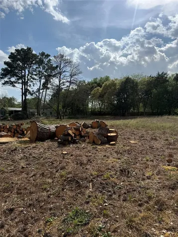 Lots 141 & 142 Pine Song Bastrop TX 78602
