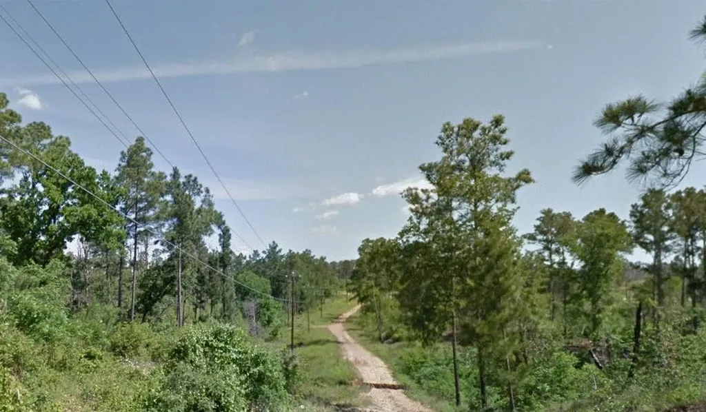 Lot 233 Makaha Drive Bastrop TX 78602