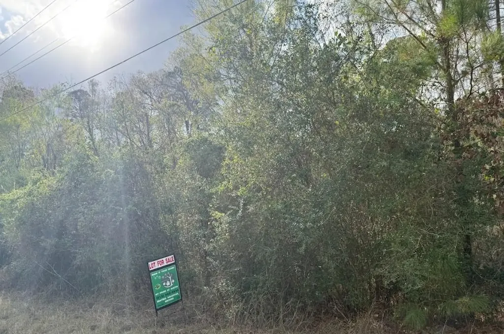 Lot 233 Makaha Drive Bastrop TX 78602