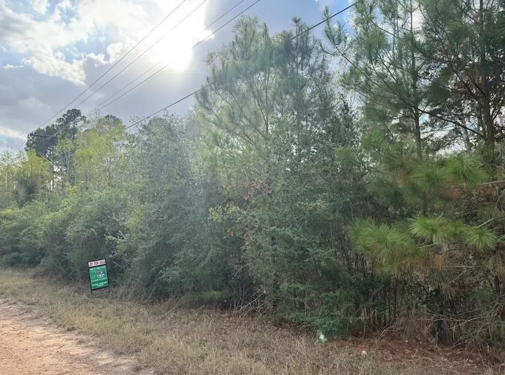Lot 233 Makaha Drive Bastrop TX 78602