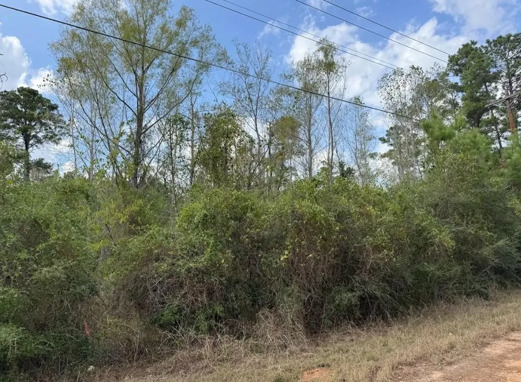 Lot 233 Makaha Drive Bastrop TX 78602