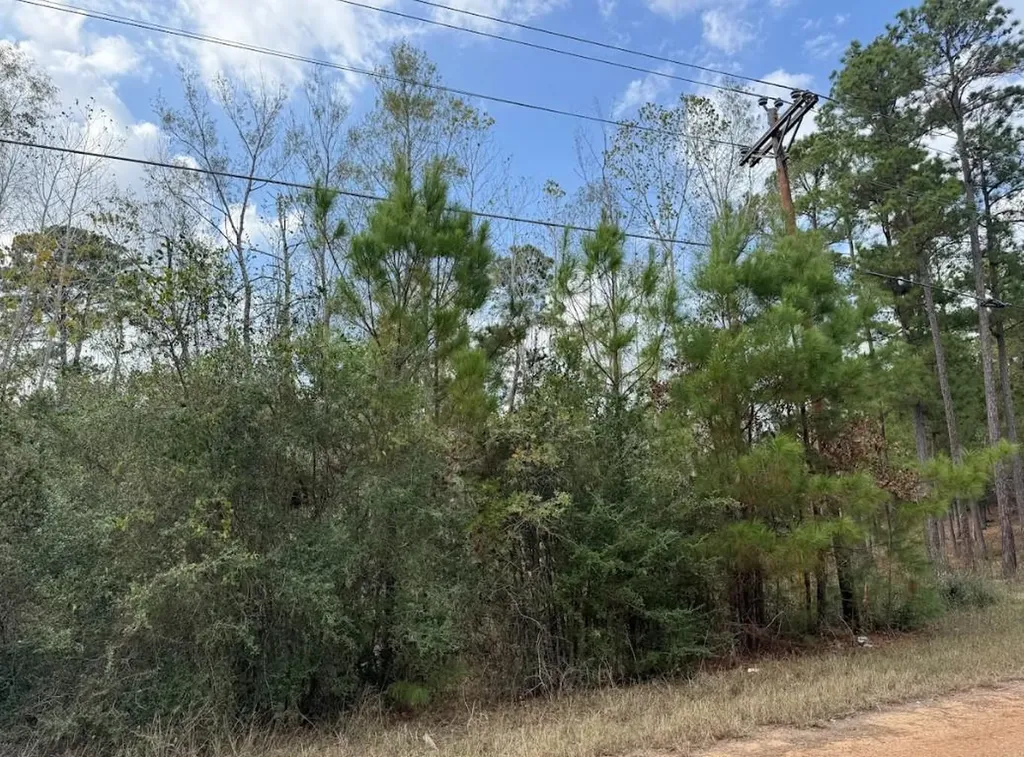 Lot 233 Makaha Drive Bastrop TX 78602