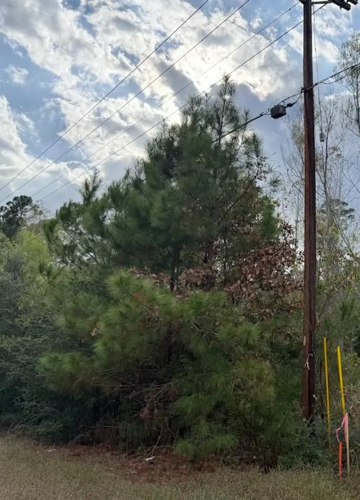 Lot 233 Makaha Drive Bastrop TX 78602