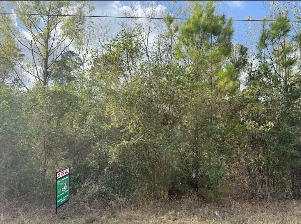 Lot 233 Makaha Drive Bastrop TX 78602