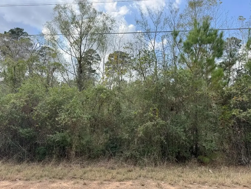 Lot 233 Makaha Drive Bastrop TX 78602