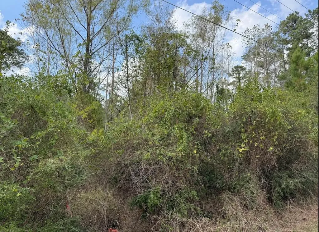 Lot 233 Makaha Drive Bastrop TX 78602