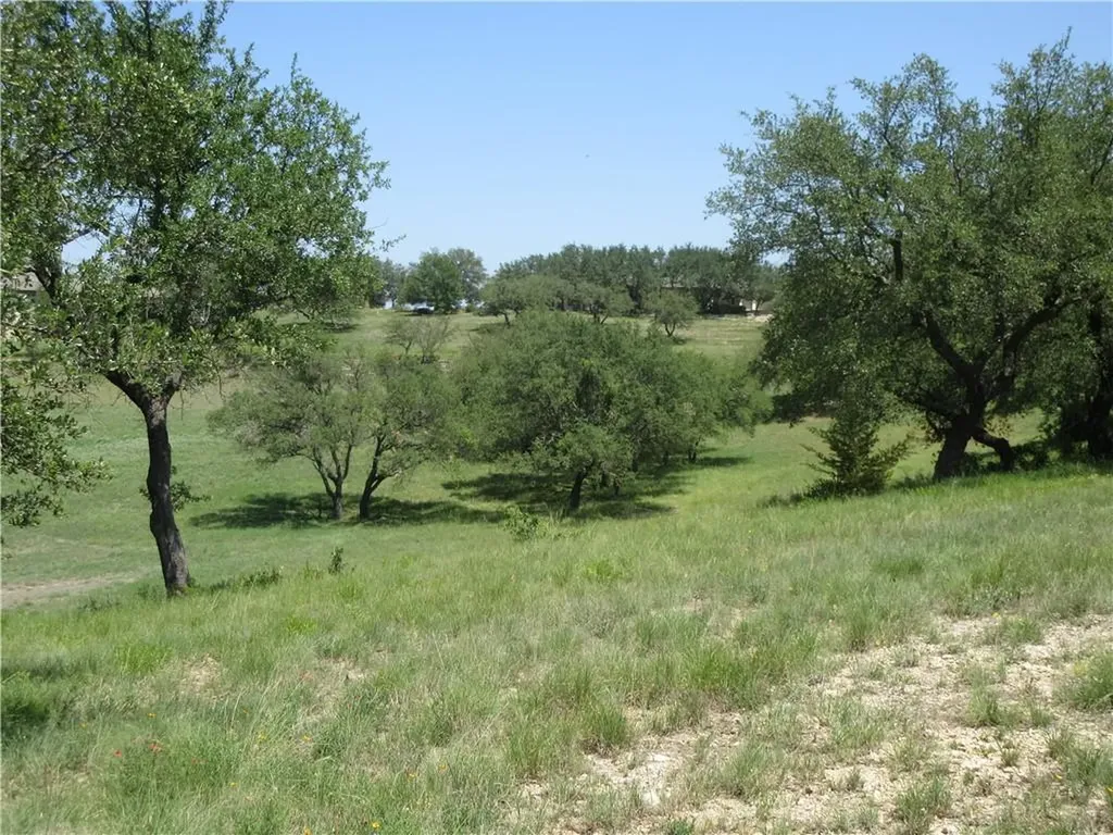 113 Quail Point Spicewood TX 78669