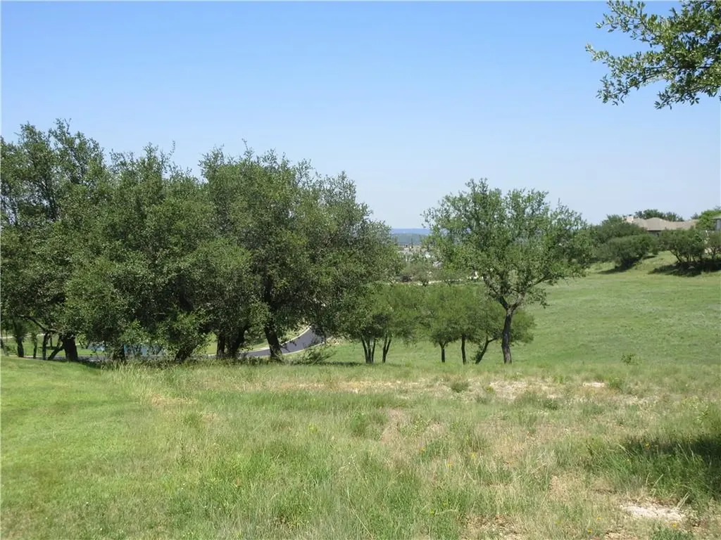 113 Quail Point Spicewood TX 78669
