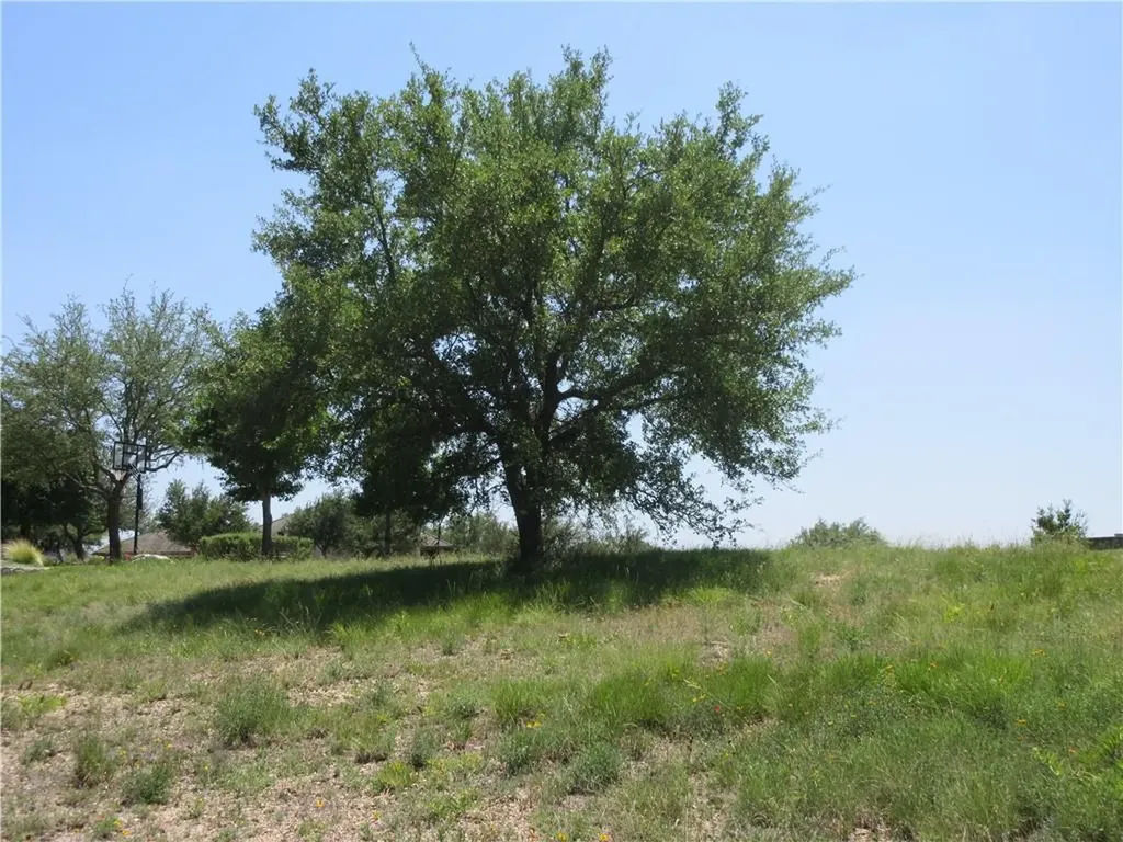 113 Quail Point Spicewood TX 78669