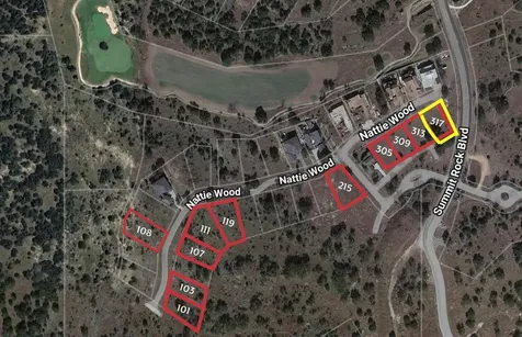317 Nattie Wood Horseshoe Bay TX 78657
