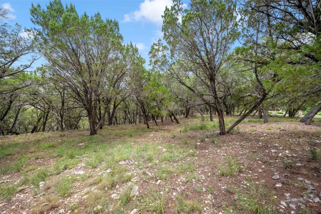906 Moonlight Bay Drive Spicewood TX 78669