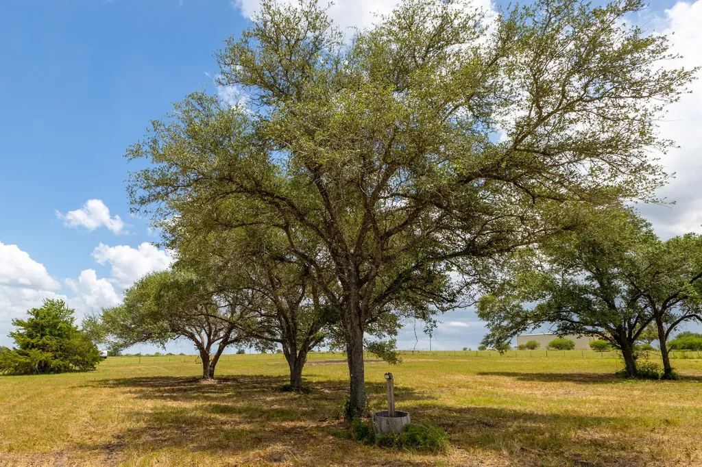 1021 E Old Hallettsville Road Flatonia TX 78941