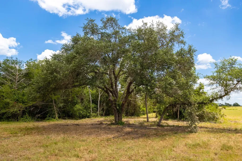 1021 E Old Hallettsville Road Flatonia TX 78941